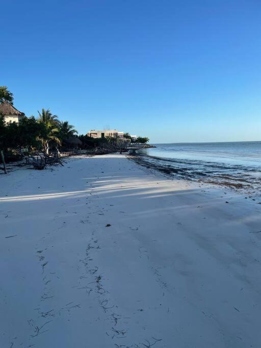 Casa Molly Leilighet Holbox  Eksteriør bilde